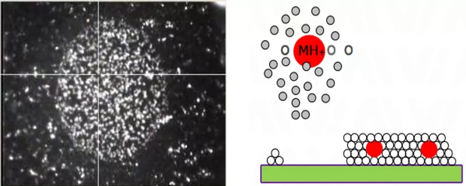 Spatial metabolomics matrix